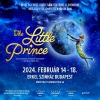The Little Prince - A kis herceg Budapesten! Jegyek itt!