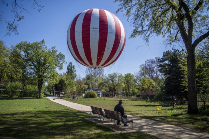 1 napra INGYENES a BalloonFly Budapesten Gyermeknap alkalmából!