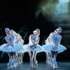 A hattyúk tava a The Royal Ballet előadásában 2025-ben az Urániában - Jegyek itt!