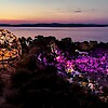 Balaton Piknik 2019-ben a Gömbkilátónál - Jegyek itt!