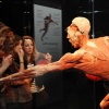 BODY WORLDS emberi test kiállítás 2023-ban is Budapesten az Etele Plázában - Jegyek itt!