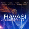 Havasi koncert 2022-ben a Veszprém Arénában - Jegyek itt!