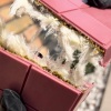 Már Magyarországon is kapható Angel Hair Chocolate, azaz Angyalhaj csokoládé!