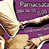 Párnacsata Nap 2014