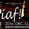 Piaf show 2017-ben ismét Budapesten - Jegyek Anne Carrere koncertjére itt!