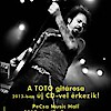 Steve Lukather koncert a Pecsában! Jegyek itt a 2013-as koncertre!