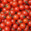 Több mint húszezer ember vívott paradicsomcsatát a spanyolországi Bunolban