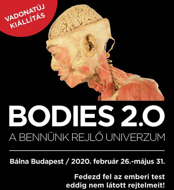 Bodies 2.0. - A bennünk élő univerzum test kiállítás 2020-ban Budapesten - Jegyek itt!