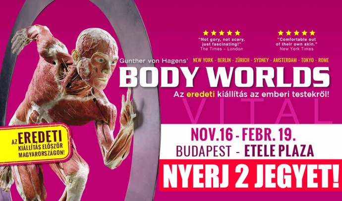 BODY WORLDS 2022-től Budapesten - NYERJ 2 JEGYET!