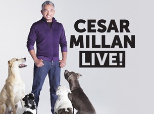 Cesar Millan 2017-ben visszatér - Jegyek a bécsi Cesar Millan Live showra már kaphatóak!