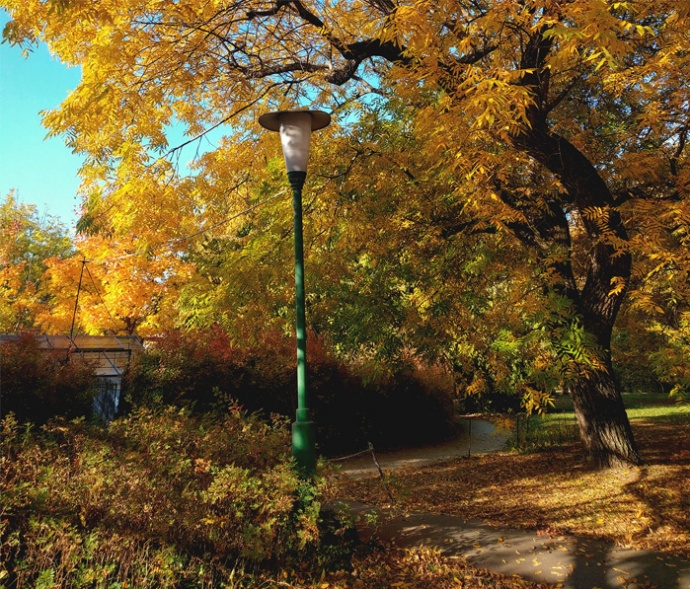 INGYENES arborétum Budapest szívében! 