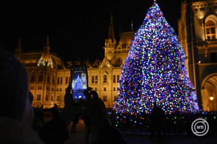 Kiválasztották az Ország Fenyőfáját!