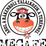 Megyer Camp Fesztivál 2013 - Jegyek és fellépők itt!