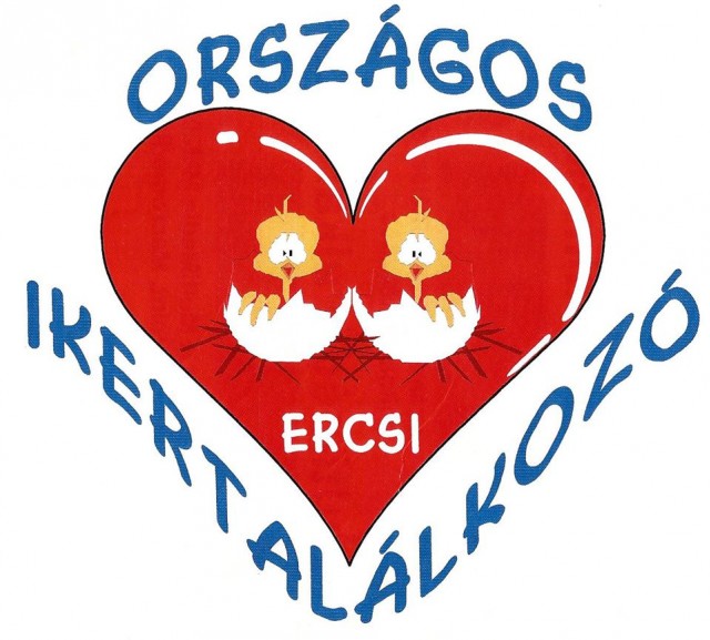 Országos Ikertalálkozó 2013