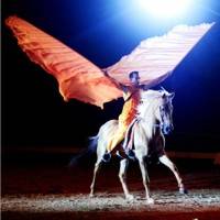 Passion 2013 - The Royal Horse - lovas show -jegyek itt!