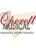 Viktória 2013-ban a Budapesti Operettszínházban! Jegyek itt!